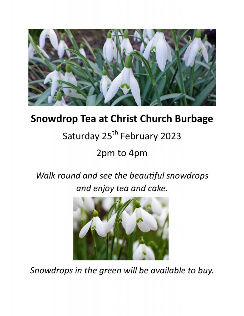 Snowdrop tea poster Christ Church Burbage 25 Feb 2-4pm